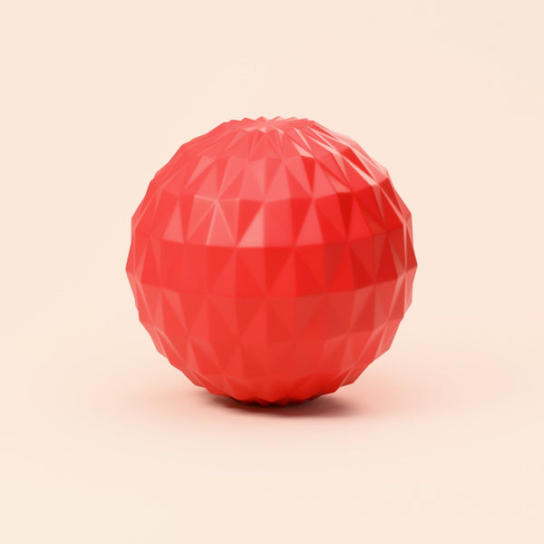 Kibble Dispenser Ball: What It's For and How to Choose One