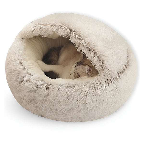 Which bed should you choose for your cat? Shape, size and spot