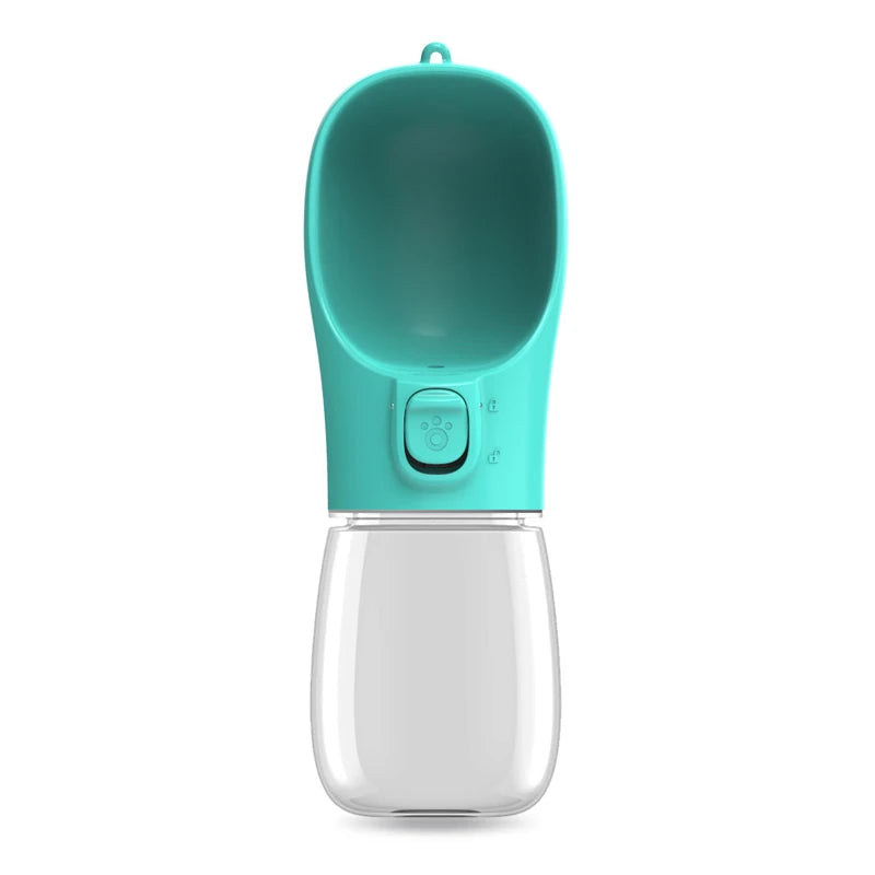Gourde de promenade turquoise