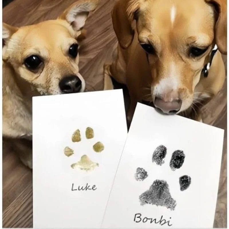 Deux chiens et leurs empreintes de patte