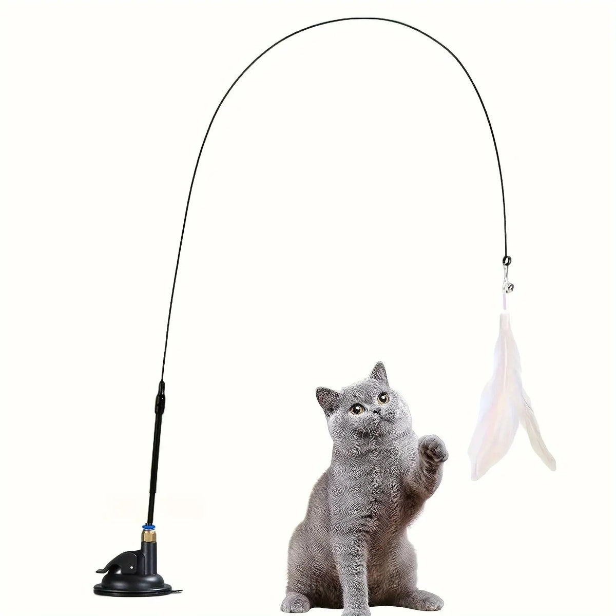 Un chat joue avec la canne à plumes Pattoune
