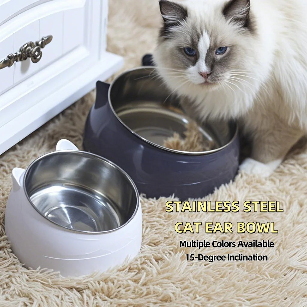 Un chat devant des gamelles inclinées en inox