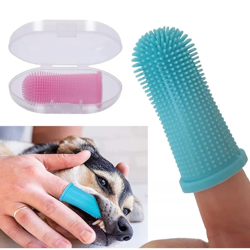Brosse à dents à doigt utilisée sur un chien