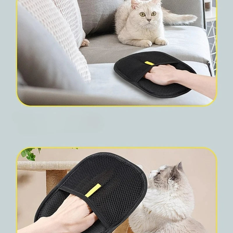 Gant ramasse-poils sur un canapé, avec un chat