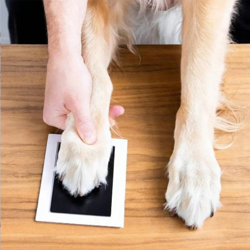 Une patte de chien posée sur le tampon sans encre