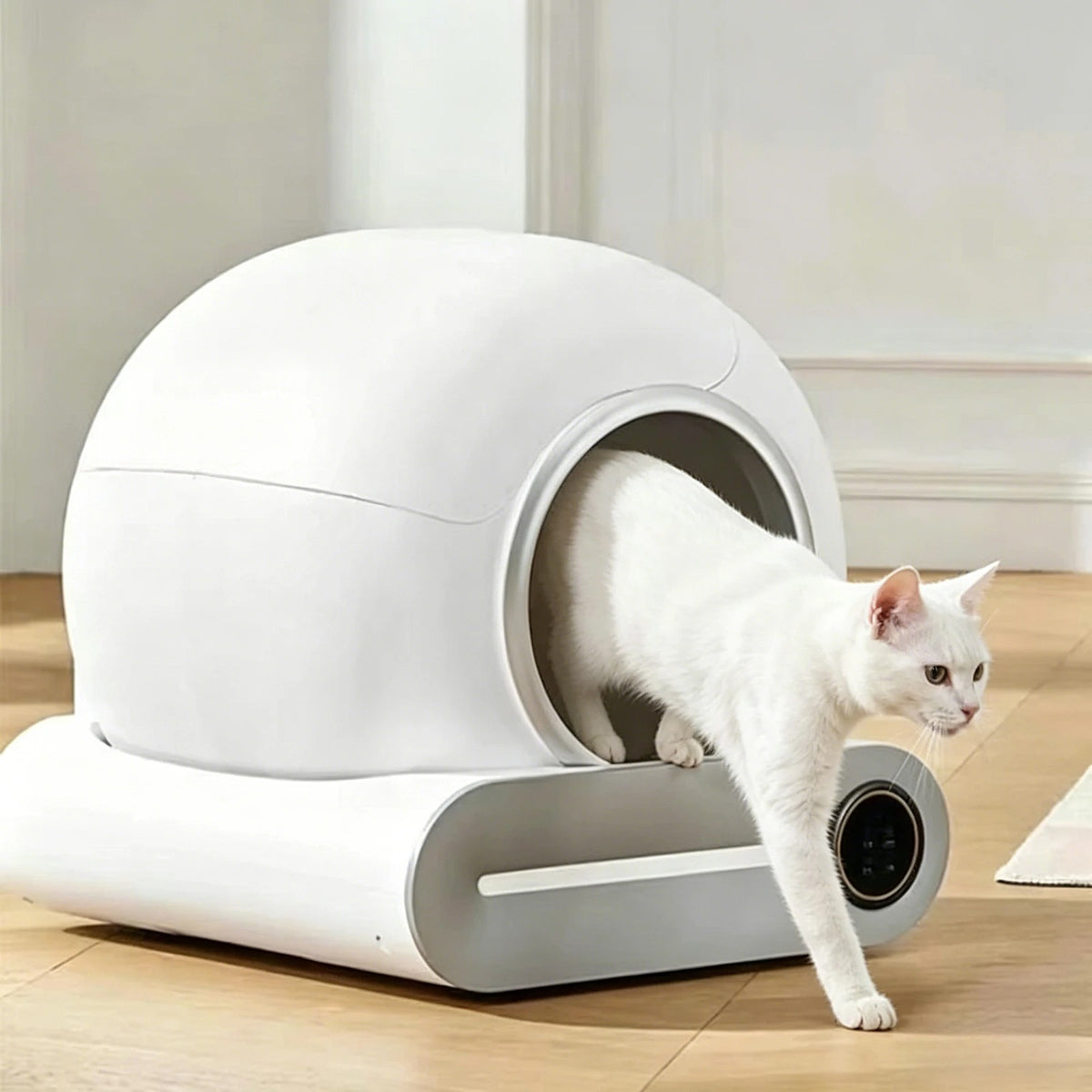 Chat blanc qui sort du bac à litière autonettoyant