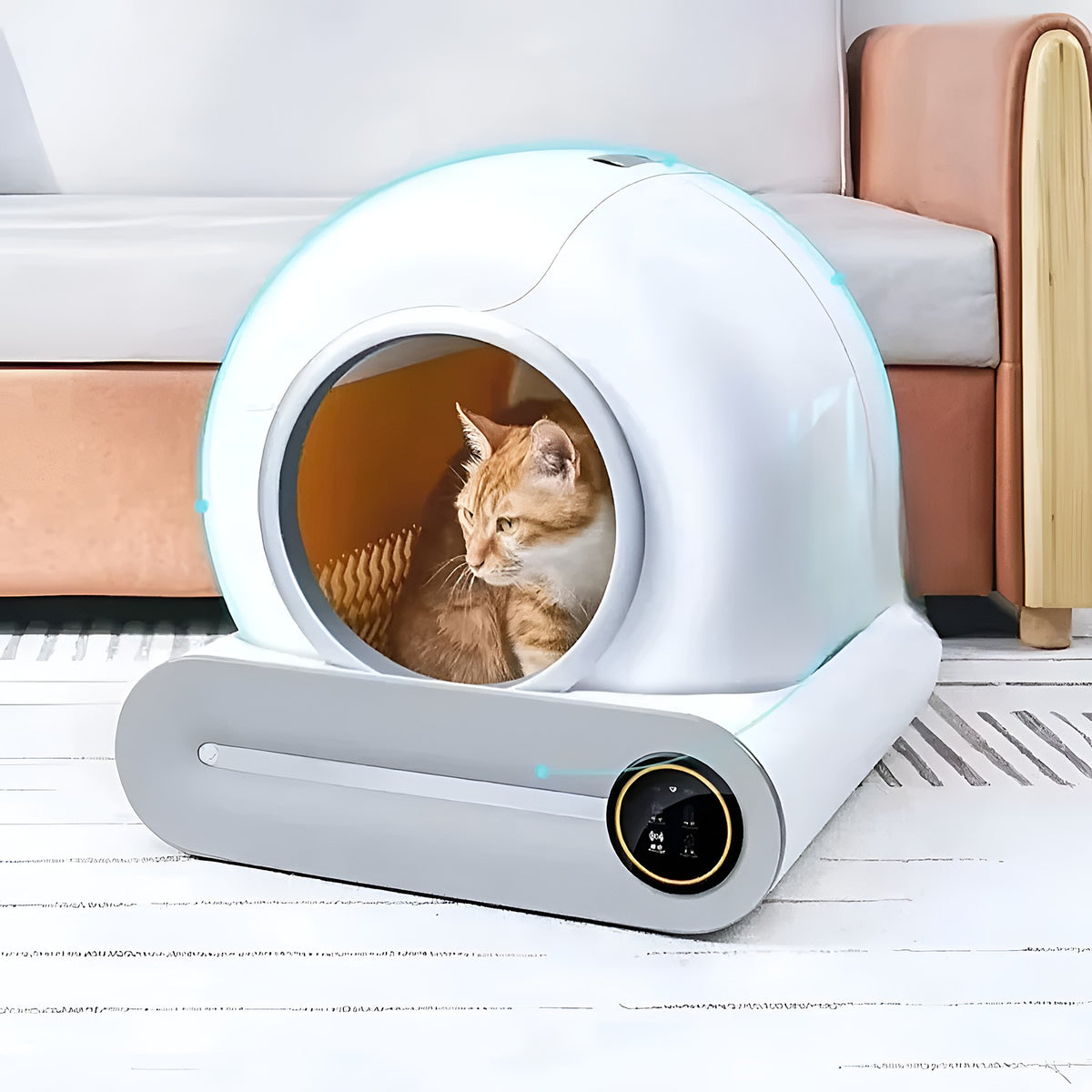 Chat roux couché dans le bac à litière autonettoyant, dans un salon