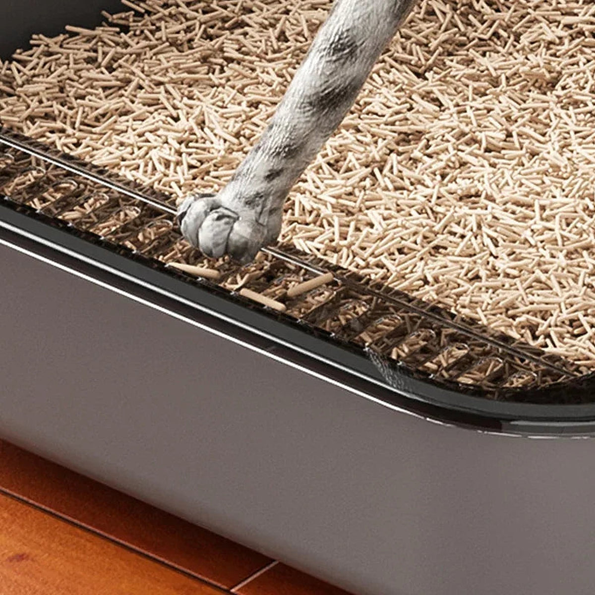 Patte de chat dans la litière, contre le rebord du bac