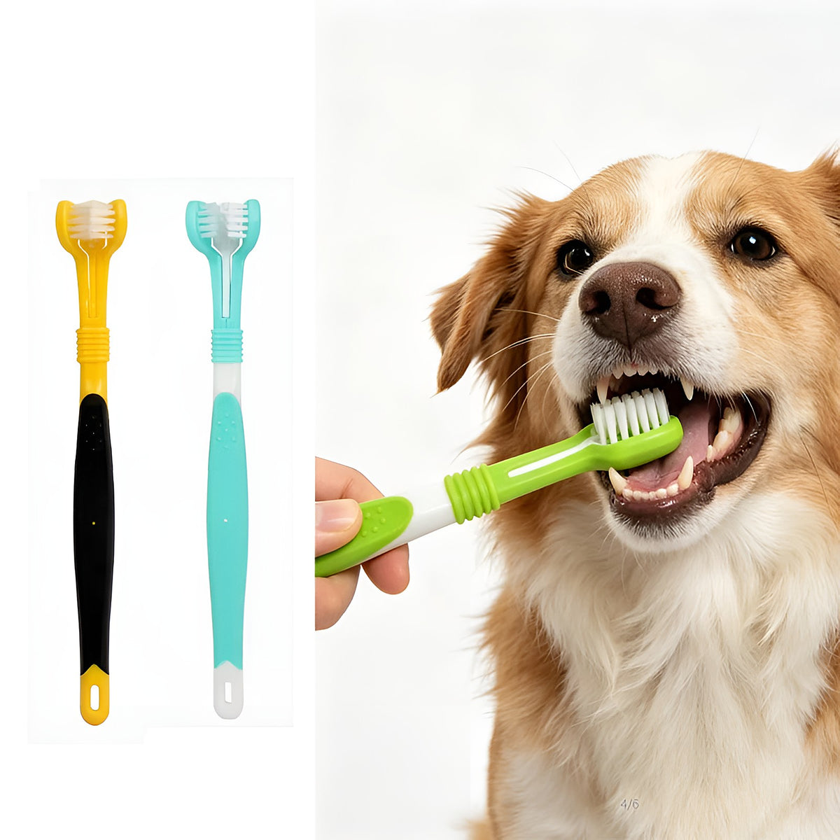 Brosses à dents 3 faces jaune et bleue, et chien pendant le brossage