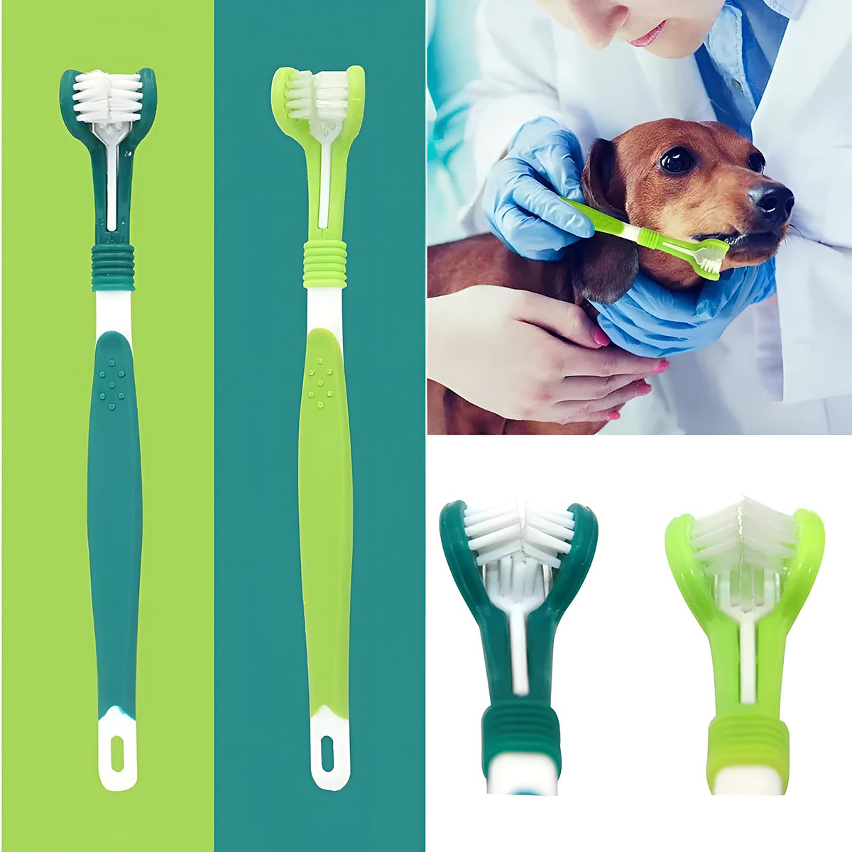 Brosses à dents 3 faces vert clair et vert foncé, et brossage d’un chien