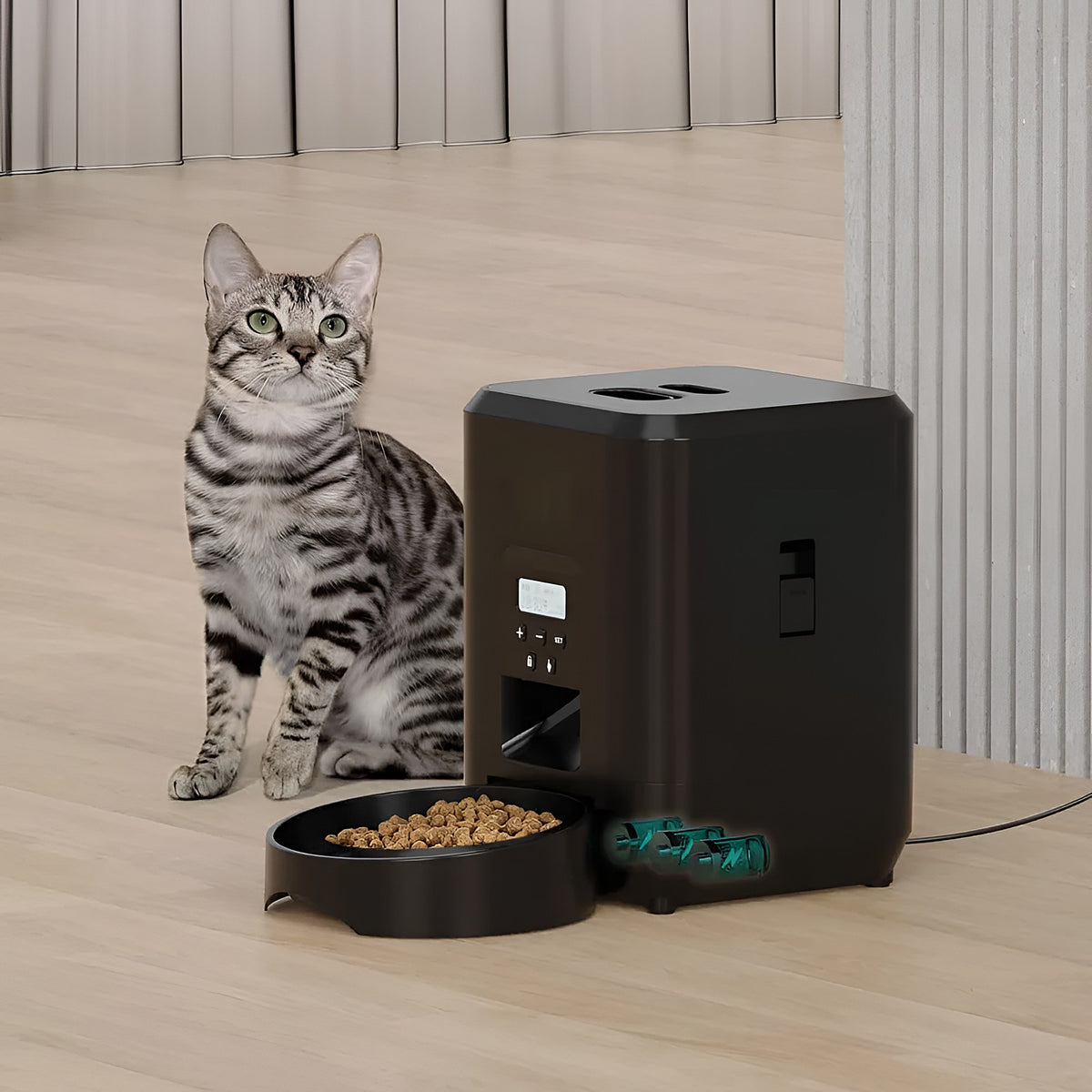 Chat assis à côté du distributeur de croquettes automatique noir