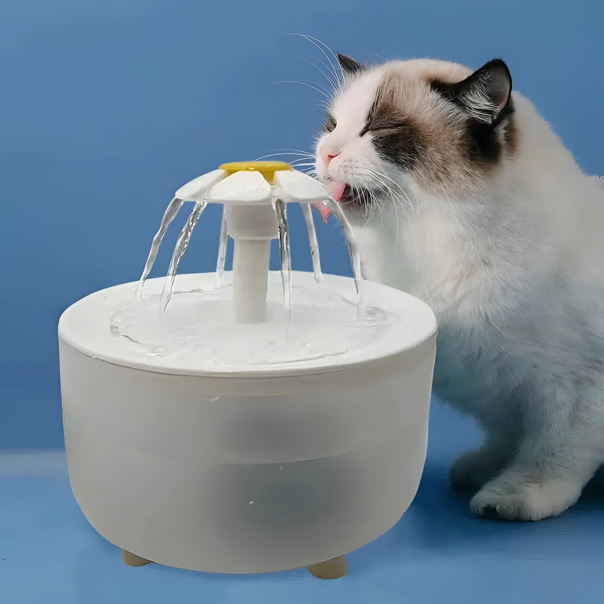 Chat qui boit à la fontaine à eau blanche