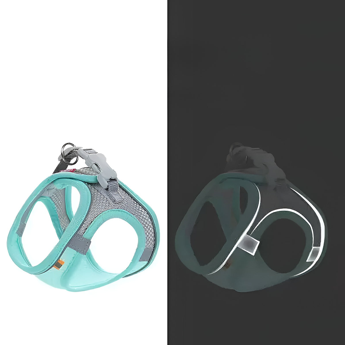 Harnais gilet turquoise de jour et bandes réfléchissantes visibles dans le noir