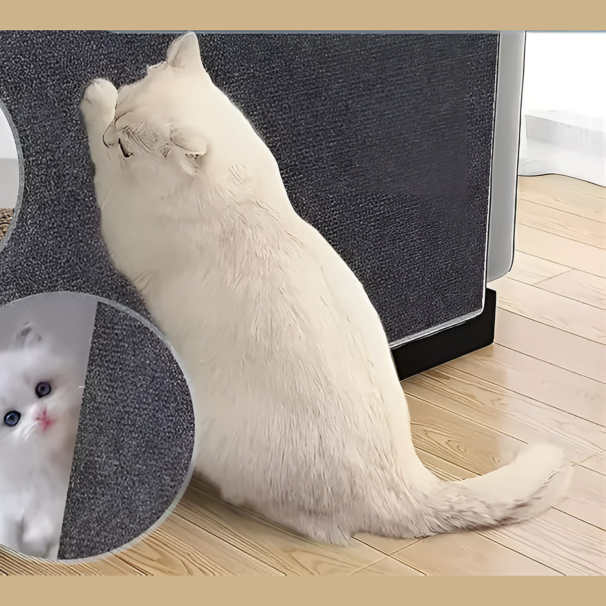 Chat blanc qui fait ses griffes sur le tapis griffoir collé au canapé