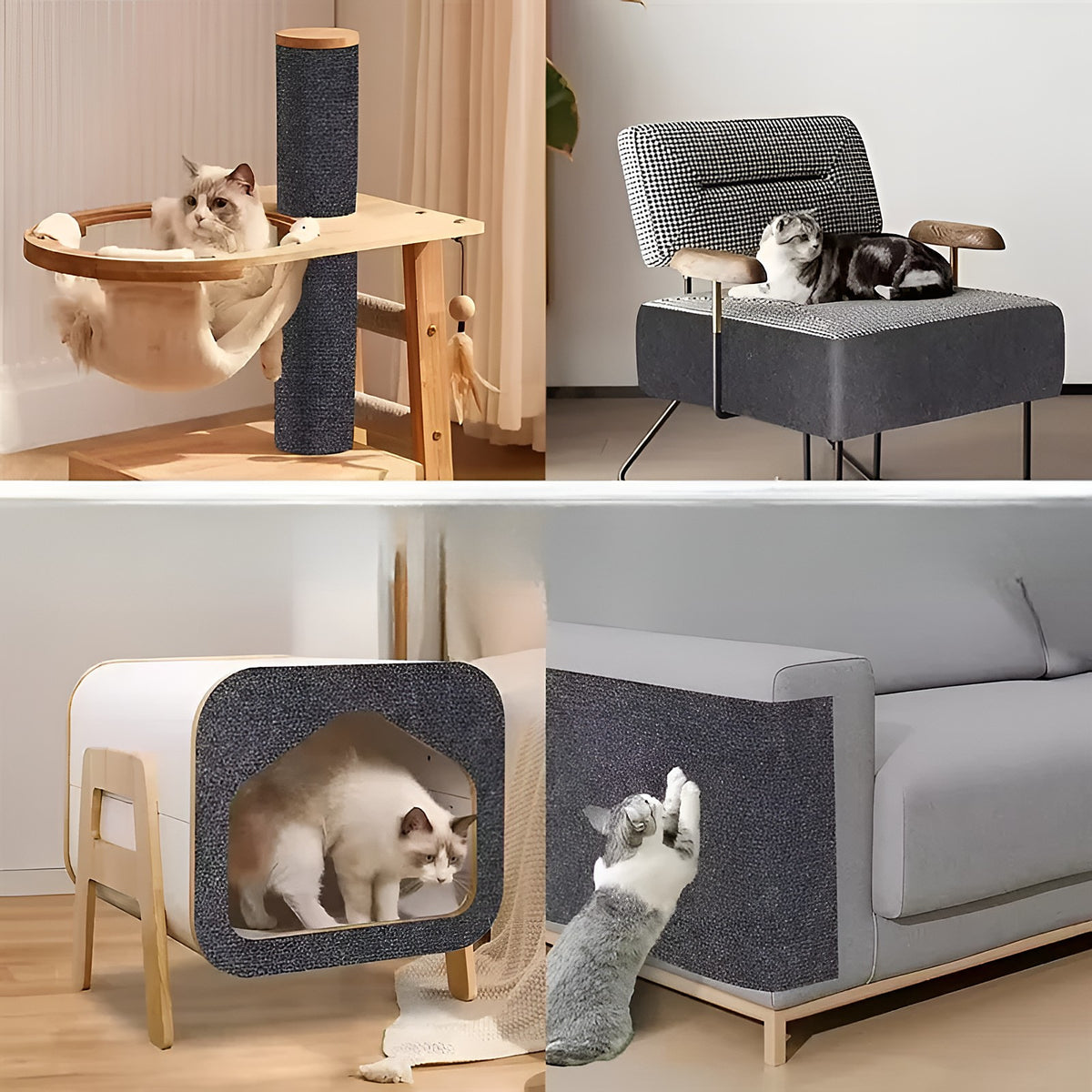 Tapis griffoir posé sur un arbre à chat, un fauteuil, une niche et un canapé