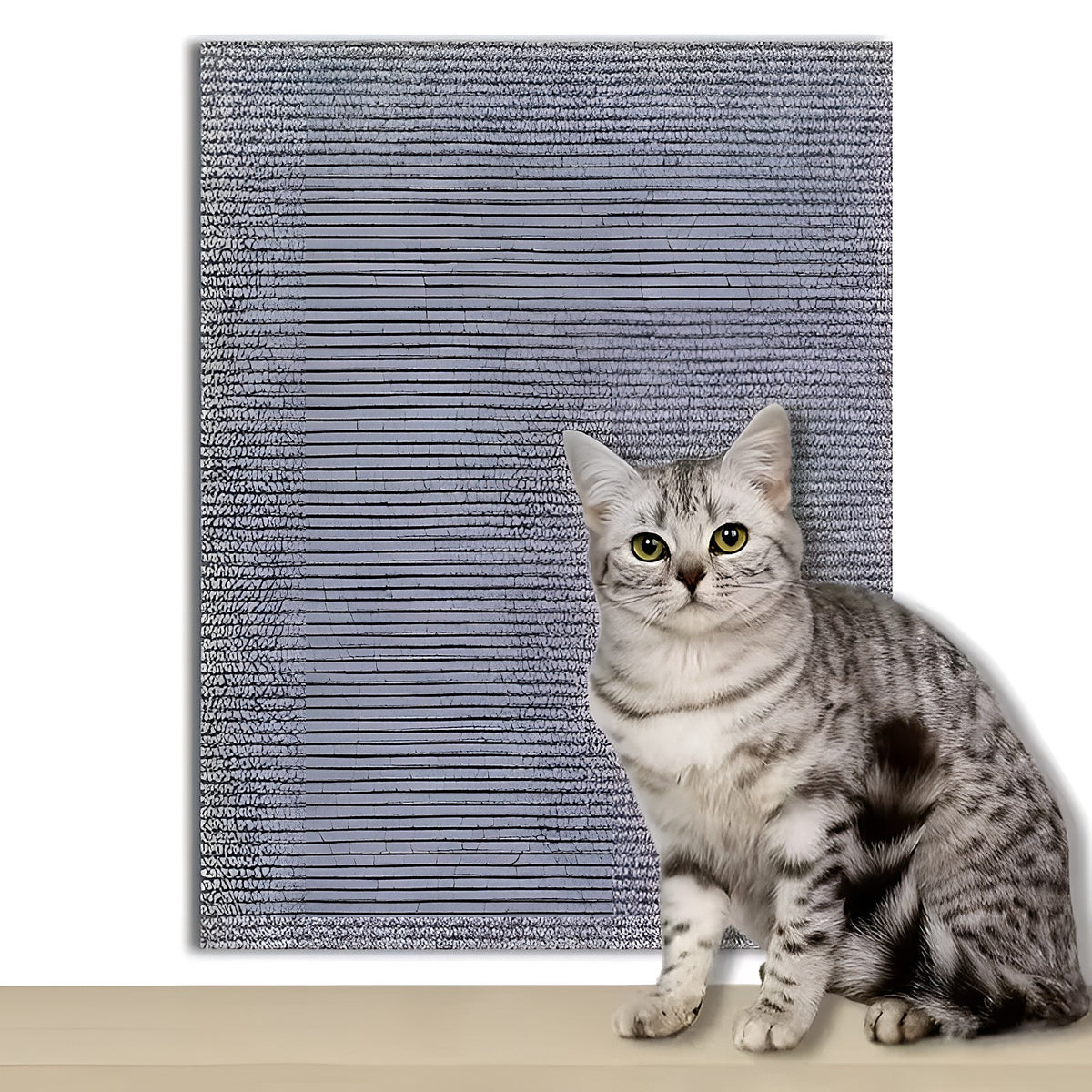 Tapis griffoir gris clair et chat tigré