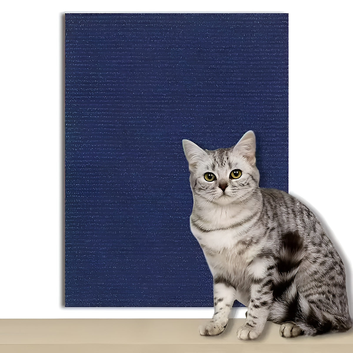 Tapis griffoir bleu marine et chat tigré