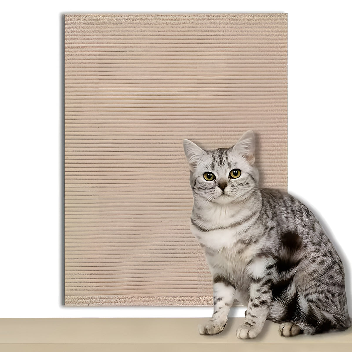 Tapis griffoir beige et chat tigré