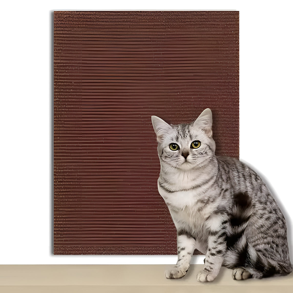 Tapis griffoir marron et chat tigré