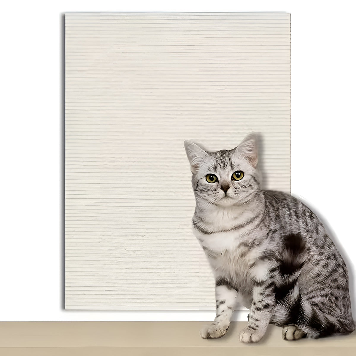 Tapis griffoir blanc cassé et chat tigré