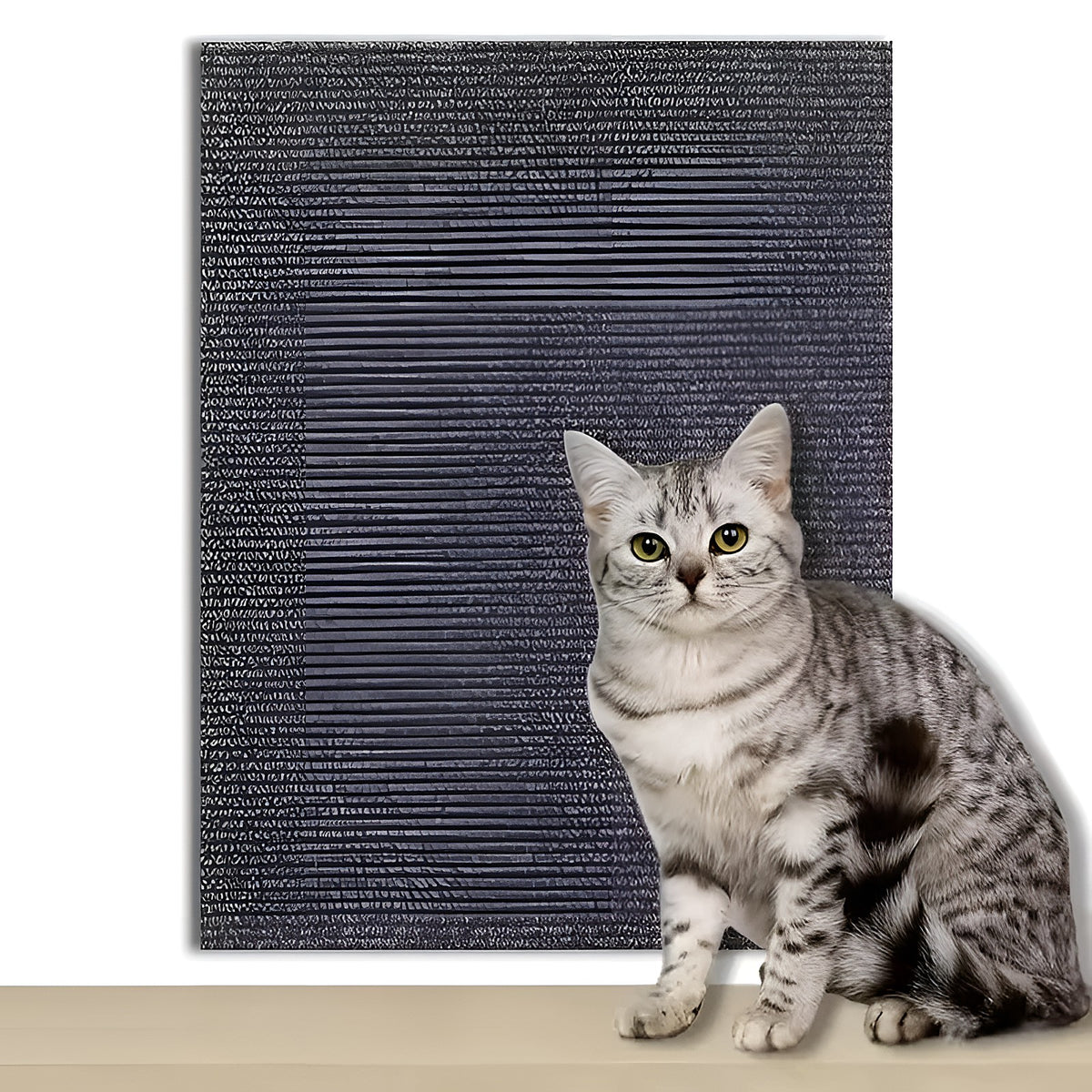 Tapis griffoir gris foncé et chat tigré