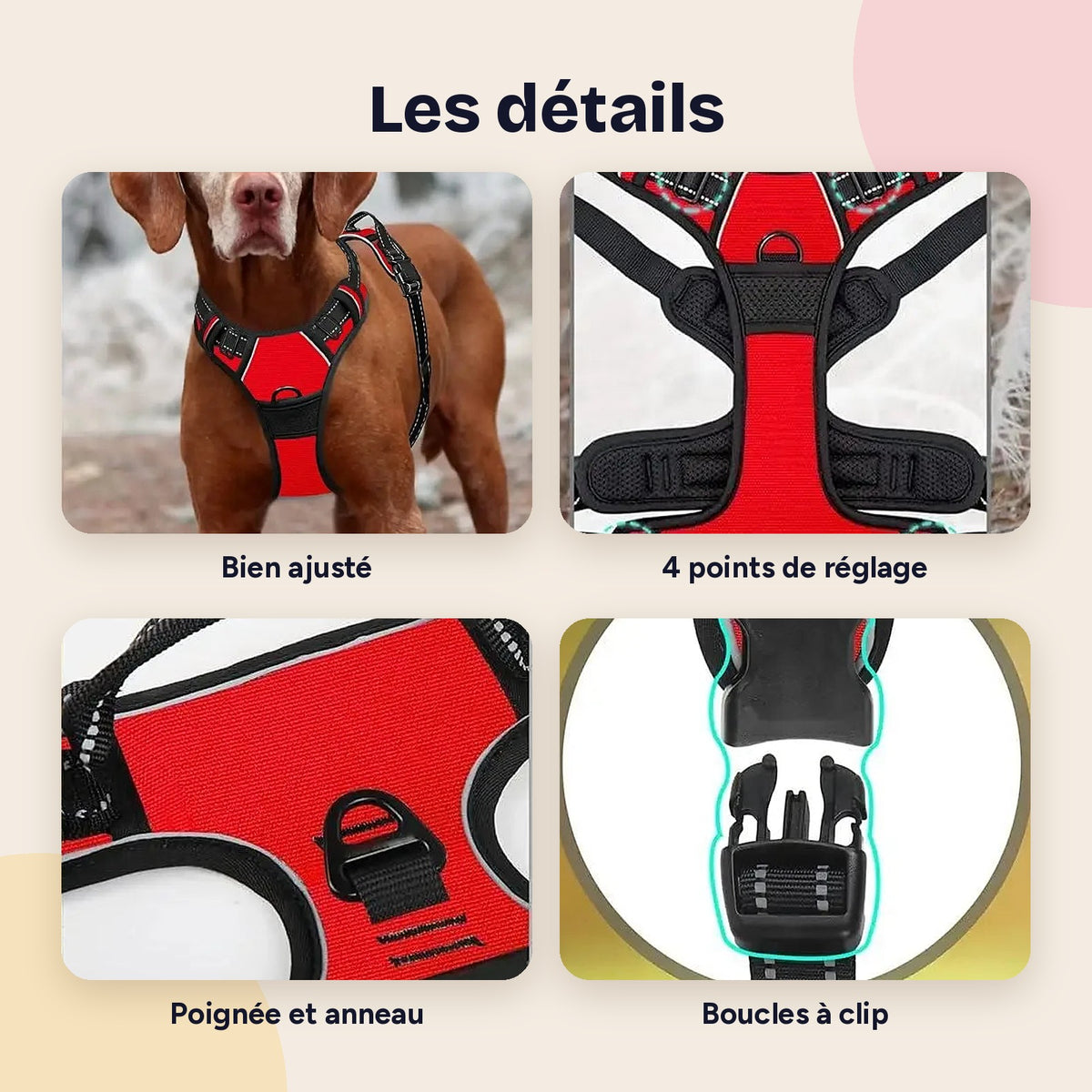 Détails du harnais : réglages, poignée, boucles