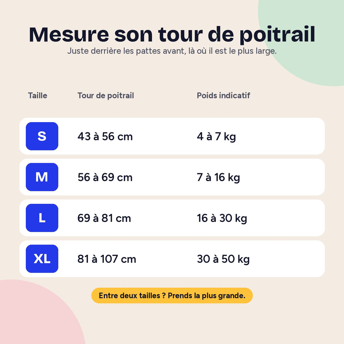 Guide des tailles du harnais selon le tour de poitrail