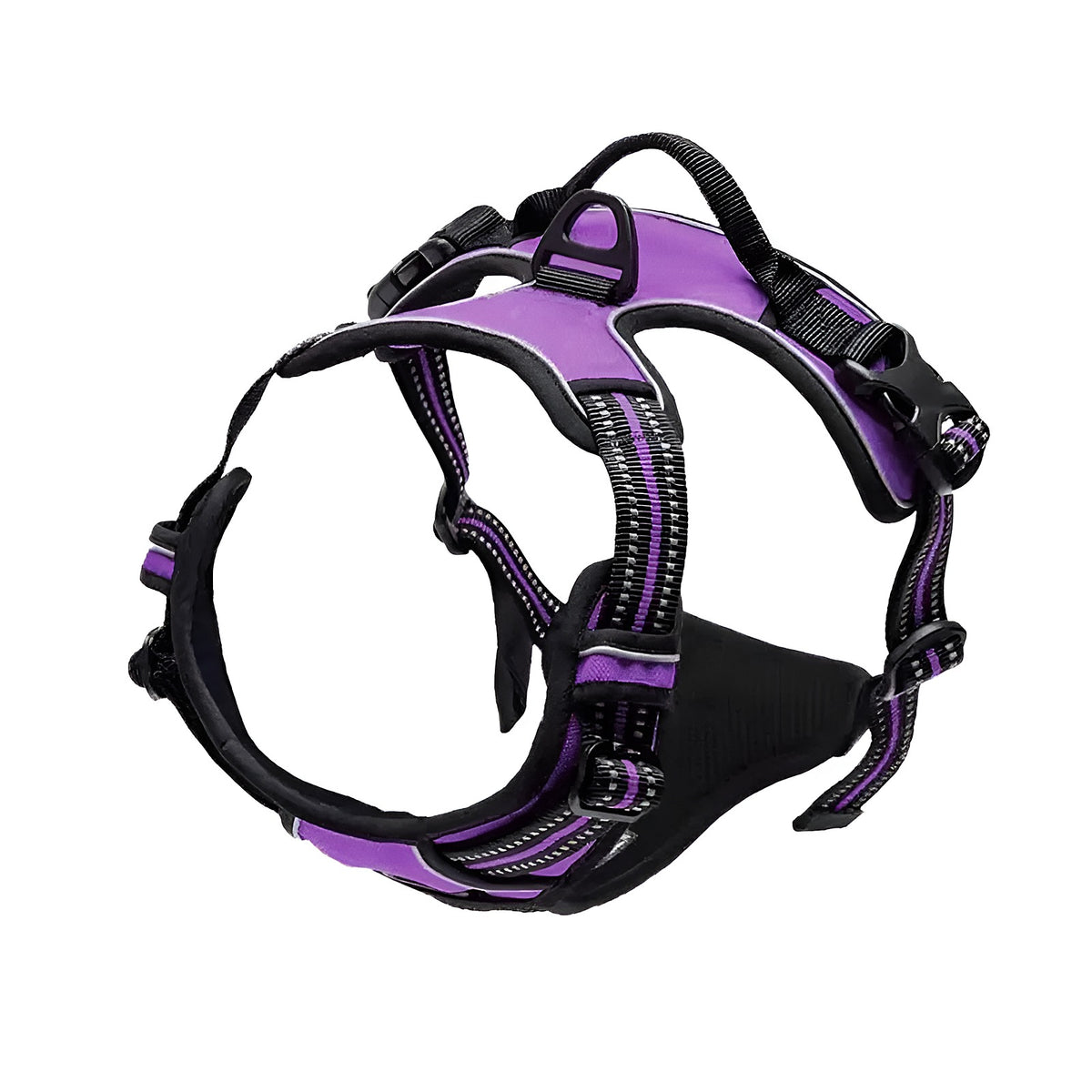 Harnais réglable violet