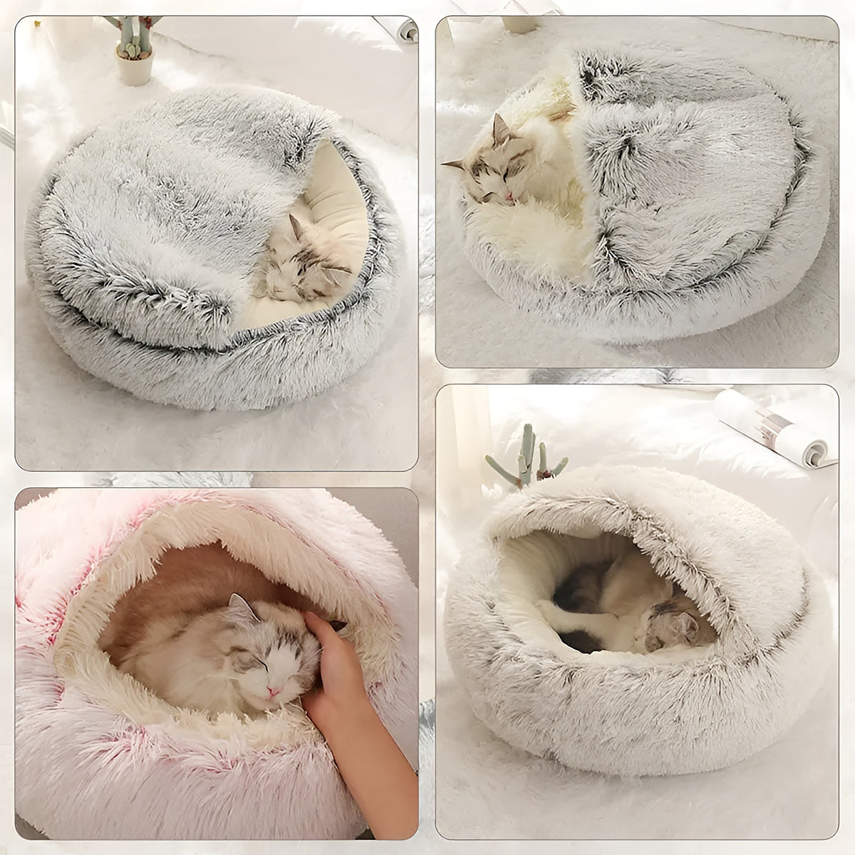 Chats installés dans le panier igloo