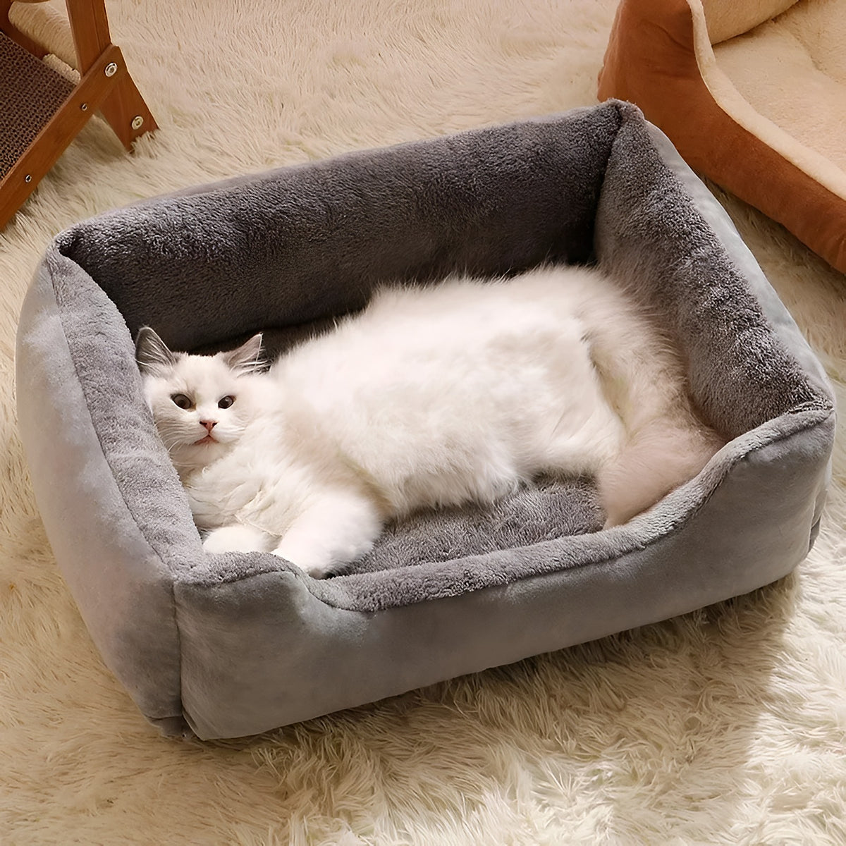 Chat blanc dans un panier rectangulaire gris