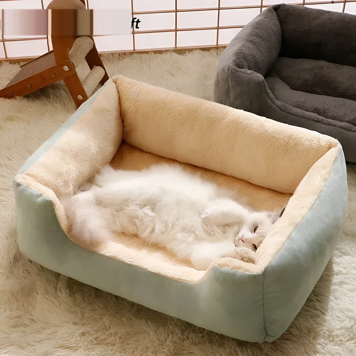Chat dans un panier rectangulaire vert