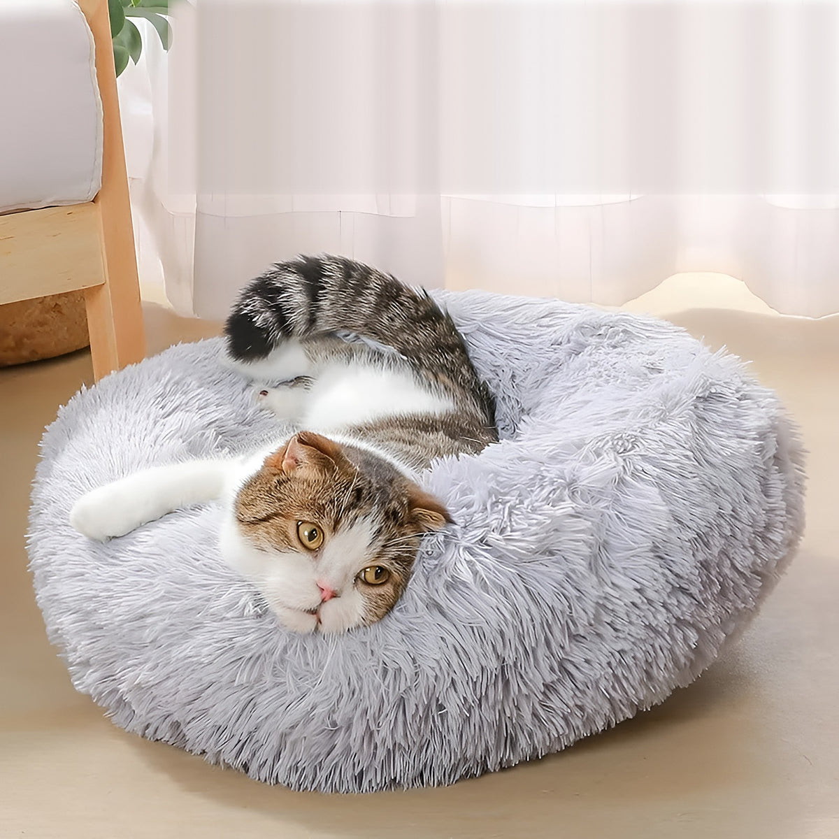 Deux chats dans un panier rond en peluche gris
