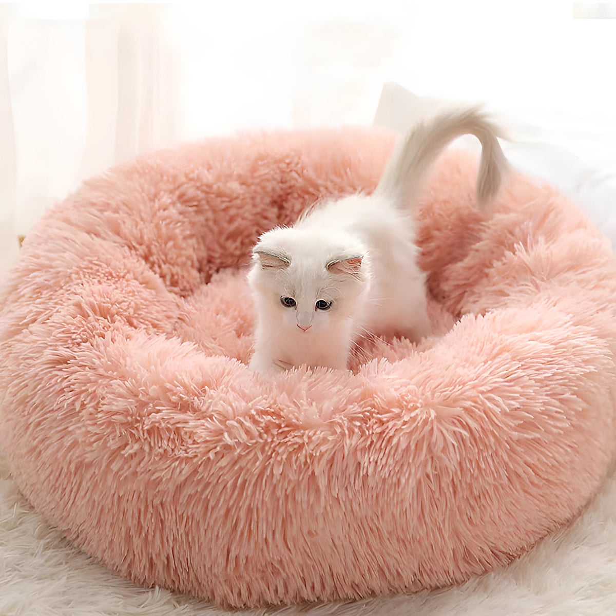 Panier rond en peluche rose avec un chaton