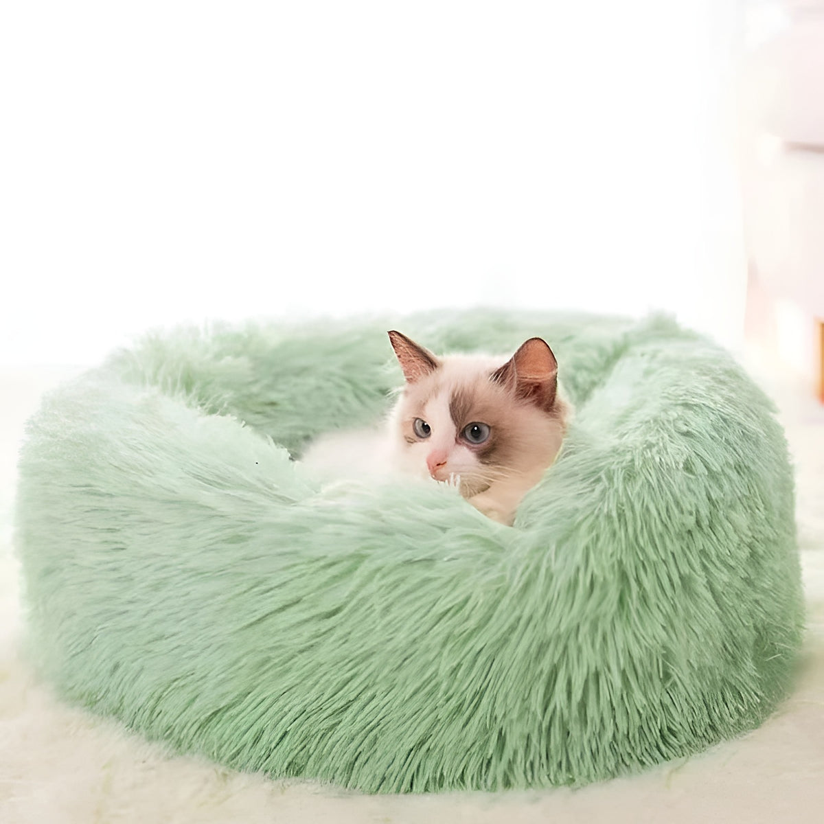 Panier rond en peluche vert menthe avec un chat