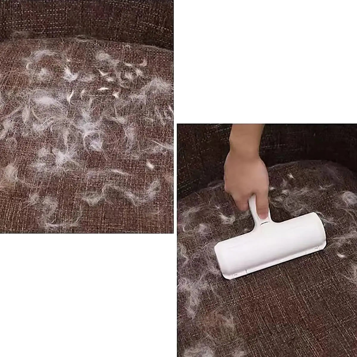 Canapé couvert de poils, puis nettoyé avec le rouleau ramasse-poils